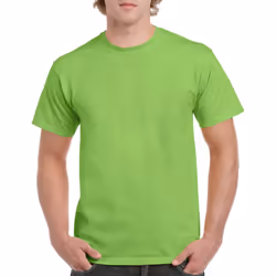 Gildan Mens Heavy Cotton Short Sleeve T-Shirt (Pack Of 5) - L, Lime