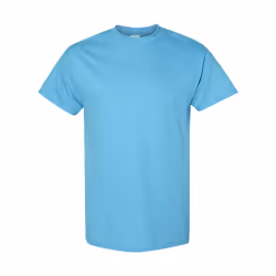 Gildan Mens Heavy Cotton Short Sleeve T-Shirt (Pack Of 5) - L, Sky