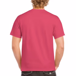 Gildan Mens Heavy Cotton Short Sleeve T-Shirt (Pack Of 5) - M, Heliconia