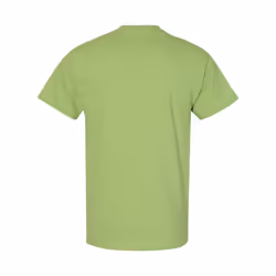 Gildan Mens Heavy Cotton Short Sleeve T-Shirt (Pack Of 5) - M, Kiwi