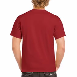 Gildan Mens Heavy Cotton Short Sleeve T-Shirt (Pack Of 5) - S, Cardinal