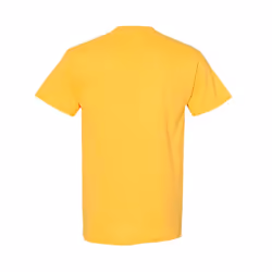 Gildan Mens Heavy Cotton Short Sleeve T-Shirt (Pack Of 5) - S, Daisy
