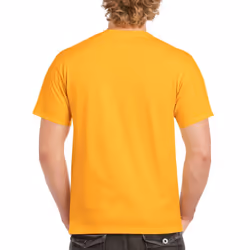 Gildan Mens Heavy Cotton Short Sleeve T-Shirt (Pack Of 5) - S, Gold