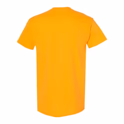 Gildan Mens Heavy Cotton Short Sleeve T-Shirt (Pack Of 5) - XL, Gold
