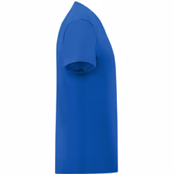 Fruit Of The Loom Mens Iconic T-Shirt (Pack Of 5) - 3XL, Royal Blue