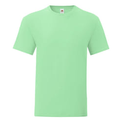 Fruit Of The Loom Mens Iconic T-Shirt (Pack Of 5) - L, Neo Mint