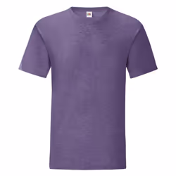 Fruit Of The Loom Mens Iconic T-Shirt (Pack Of 5) - S, Heather Purple