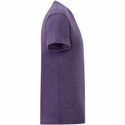 Fruit Of The Loom Mens Iconic T-Shirt (Pack Of 5) - S, Heather Purple
