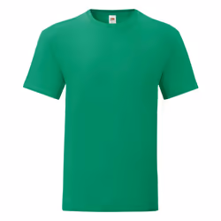 Fruit Of The Loom Mens Iconic T-Shirt (Pack Of 5) - S, Kelly Green