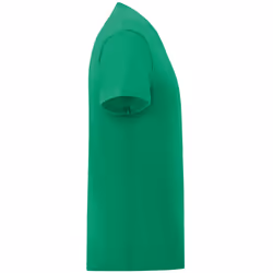 Fruit Of The Loom Mens Iconic T-Shirt (Pack Of 5) - XL, Kelly Green