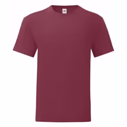 Fruit Of The Loom Mens Iconic T-Shirt (Pack Of 5) - XXL, Burgundy