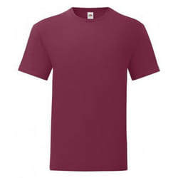 Fruit Of The Loom Mens Iconic T-Shirt (Pack Of 5) - XXL, Burgundy