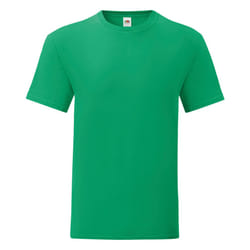 Fruit Of The Loom Mens Iconic T-Shirt (Pack Of 5) - 2XL, Kelly Green
