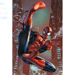 Spider-Man Web Sling Poster