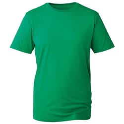 Anthem Mens Organic T-Shirt - XS, Kelly Green