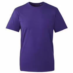 Anthem Mens Organic T-Shirt - XS, Purple