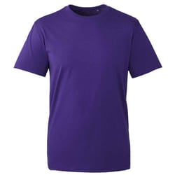 Anthem Mens Organic T-Shirt - XS, Purple