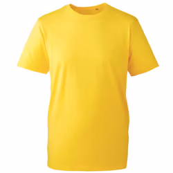 Anthem Mens Organic T-Shirt - XS, Yellow