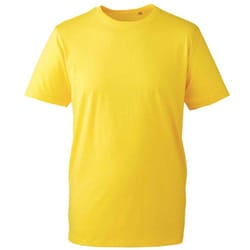 Anthem Mens Organic T-Shirt - XS, Yellow