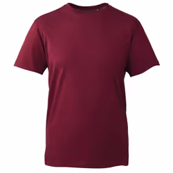 Anthem Mens Organic T-Shirt - XS, Burgundy