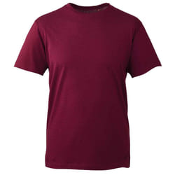 Anthem Mens Organic T-Shirt - XS, Burgundy