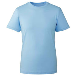 Anthem Mens Organic T-Shirt - XS, Light Blue