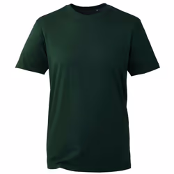 Anthem Mens Organic T-Shirt - XS, Forest Green