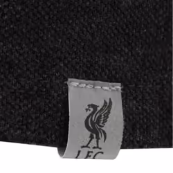 Liverpool FC Mens Panel Polo Shirt - S, Charcoal/Black