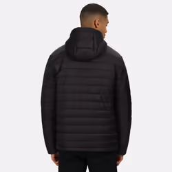 Regatta Mens Thermogen P'cell Warmloft Jacket - S, Black