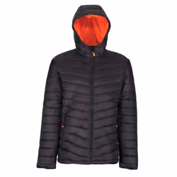 Regatta Mens Thermogen P'cell Warmloft Jacket - XL, Black