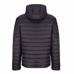 Regatta Mens Thermogen P'cell Warmloft Jacket - 3XL, Black