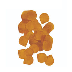 Henbrandt Petal Wedding Confetti