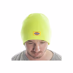 Dickies Adults Unisex Watch Beanie