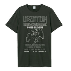 Amplified Unisex Adult The Song Remains The Same Led Zeppelin T-Shirt - M, Charcoal
