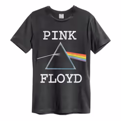 Amplified Mens Dark Side Pink Floyd T-Shirt