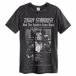 Amplified Unisex Adult The Rise and Fall David Bowie T-Shirt
