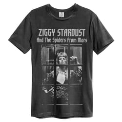 Amplified Unisex Adult The Rise and Fall David Bowie T-Shirt