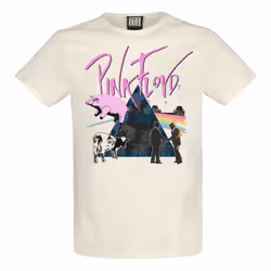 Amplified Unisex Adult The Greats Pink Floyd T-Shirt - XS, Vintage White
