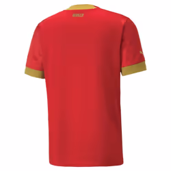 2022-2023 Serbia Home Shirt (SERGEJ 20) - L