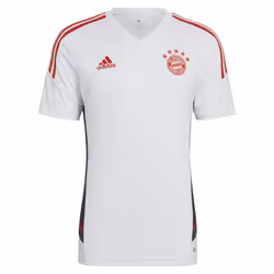 2022-2023 Bayern Munich Training Shirt (White) (SANE 10) - L