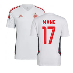 2022-2023 Bayern Munich Training Shirt (White) (MANE 17) - L