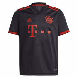 2022-2023 Bayern Munich Third Shirt (Kids) (LEWANDOWSKI 9) - SB