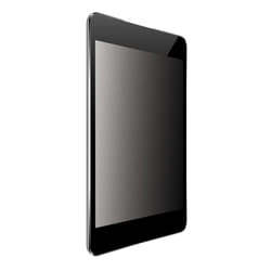 Origin Storage Security Filter 2-Way Plug-In for Apple iPad (10th Gen) 10.9in