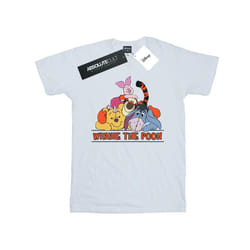 Disney Womens/Ladies Winnie The Pooh Group Cotton Boyfriend T-Shirt - XXL, White