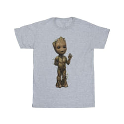 Marvel Boys I Am Groot Wave Pose T-Shirt - 12-13 Years, Sports Grey