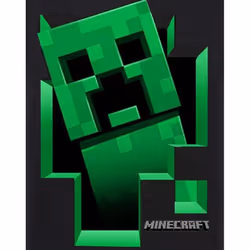 Minecraft Boys Creeper Inside T-Shirt - 9-10 Years, Black