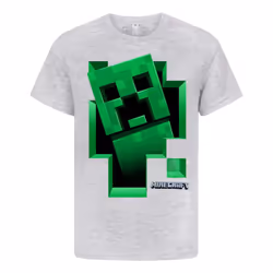 Minecraft Boys Creeper Inside T-Shirt - 9-10 Years, Grey