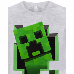 Minecraft Boys Creeper Inside T-Shirt - 9-10 Years, Grey