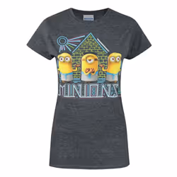 Minions Womens/Ladies Egyptian T-Shirt - S, Charcoal