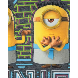 Minions Womens/Ladies Egyptian T-Shirt - S, Charcoal